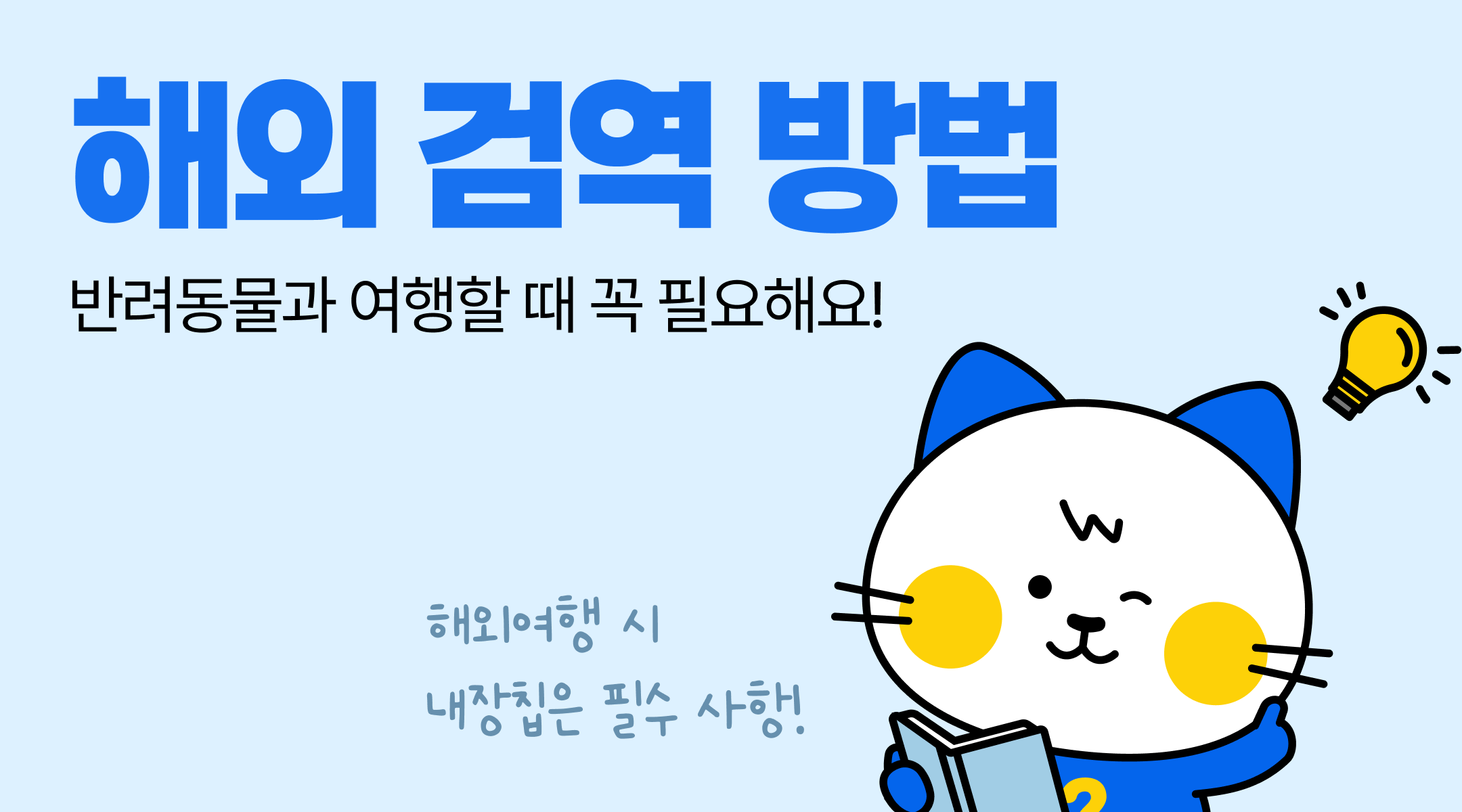 해외 입양시 주의점