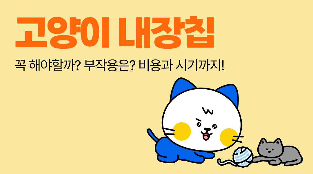고양이 내장칩에 관한 모든 것