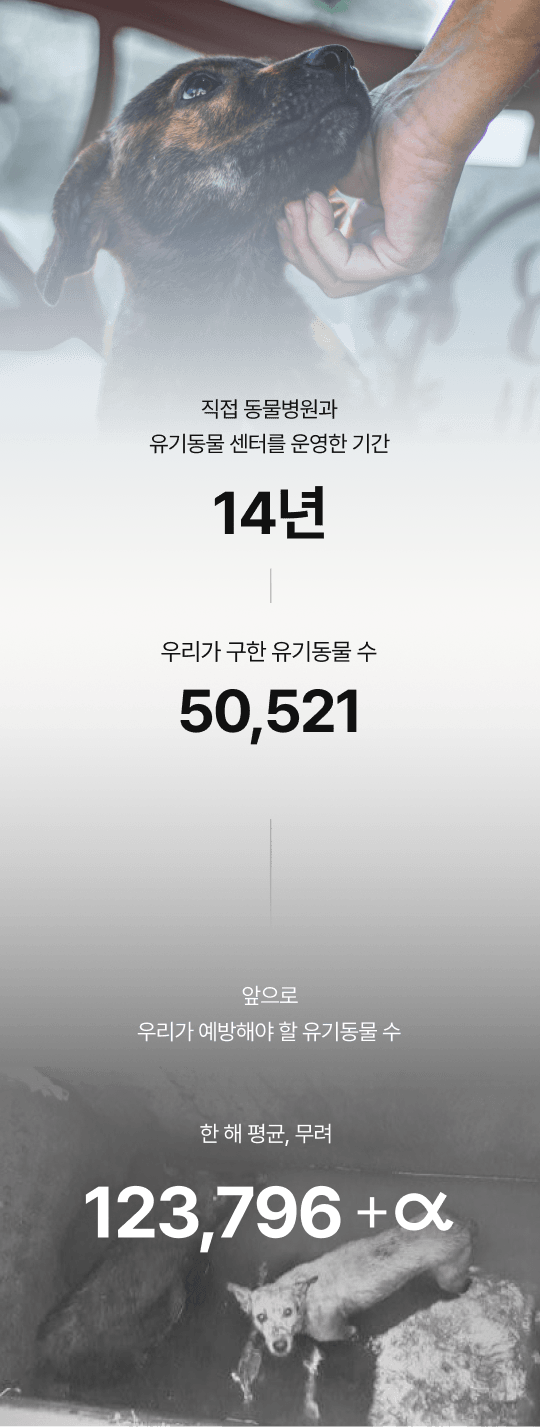 직접 동물병원과 유기동물 센터를 운영한 기간 14년, 우리가 구한 유기동물 수 50,521, 앞으로 우리가 예방해야할 유기 동물 수 한 해 평균, 무려 123,796 + a